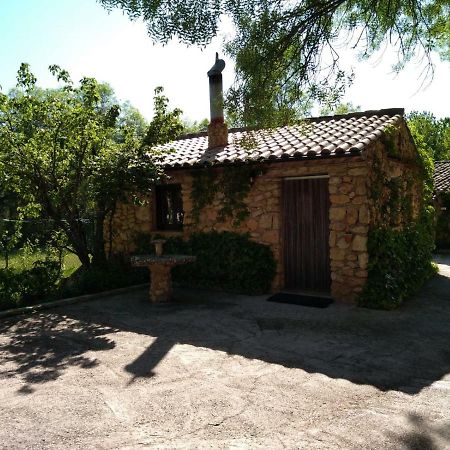Casas Rurales Picos Del Oso Riópar 외부 사진