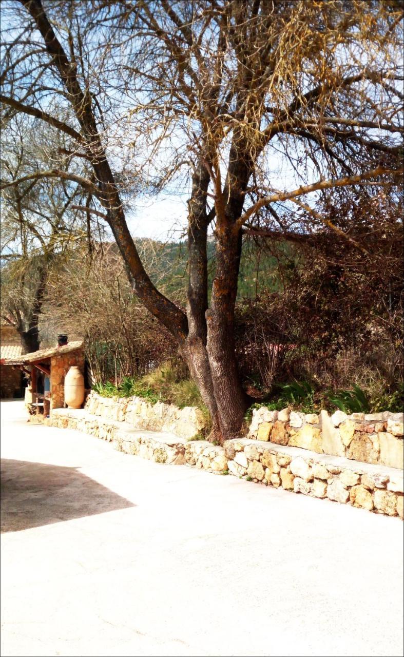 Casas Rurales Picos Del Oso Riópar 외부 사진