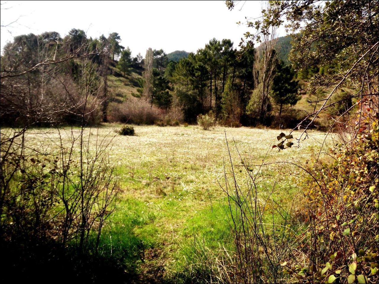 Casas Rurales Picos Del Oso Riópar 외부 사진