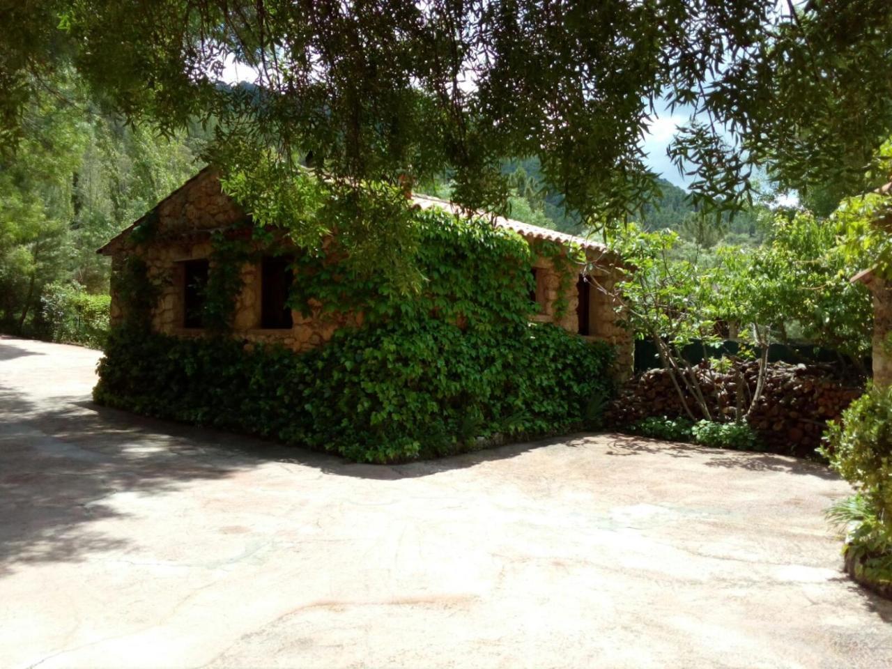 Casas Rurales Picos Del Oso Riópar 외부 사진