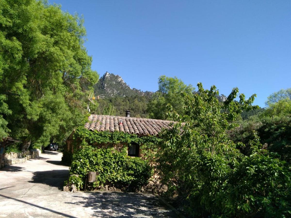 Casas Rurales Picos Del Oso Riópar 외부 사진